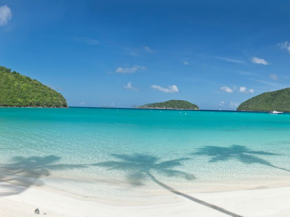 One of the beautiful St John beaches, showcasing a mesmerizing white sand beach lined with palm trees and surrounded by crystal clear turquoise water.
