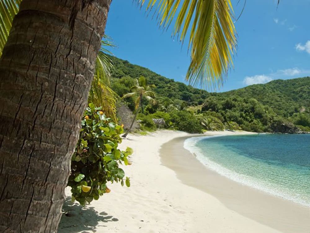 St John Beaches: A white sand beach with palm trees in the background.