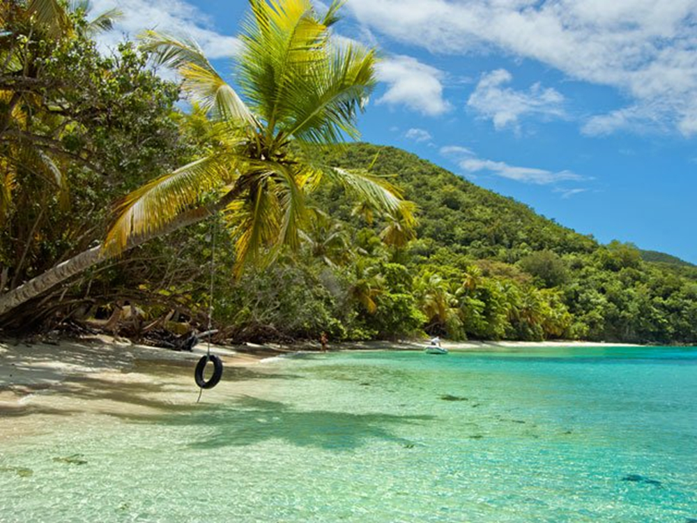 The captivating St. John beaches boast palm trees and clear water, creating a paradisiacal oasis.