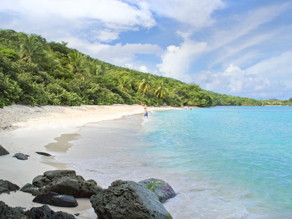 A picturesque white sand beach with rocky outcrops and luscious trees in the background.