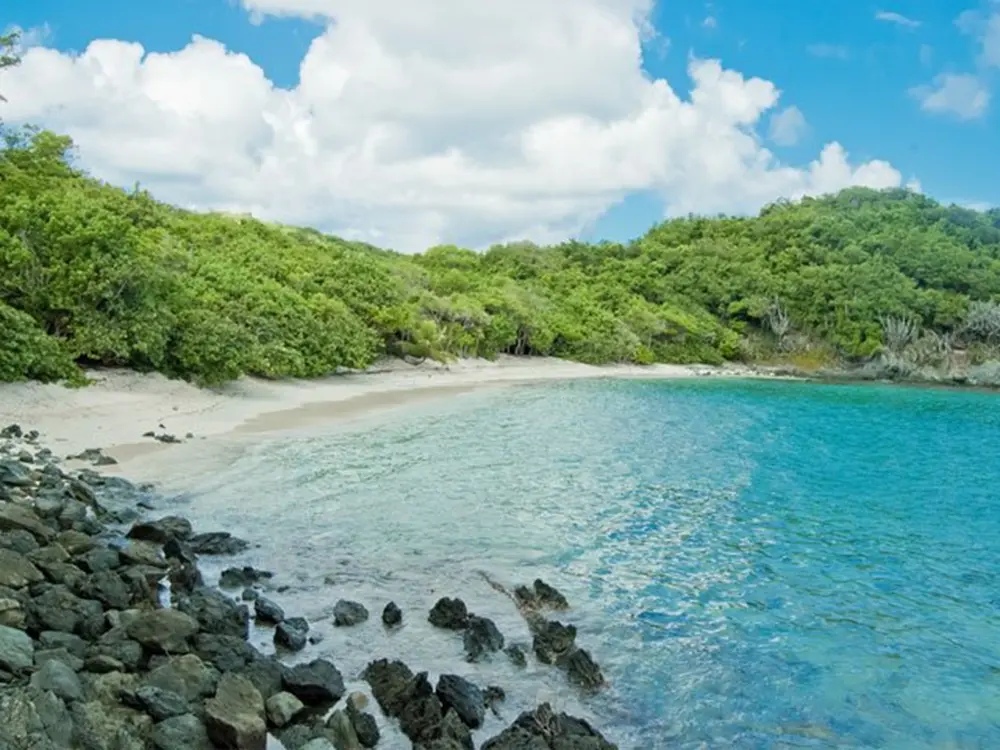 A St John beach surrounded by trees and rocks.